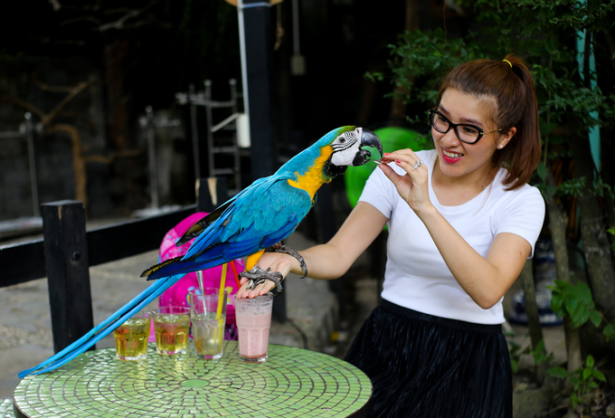 ä¸é¹¦é¹çåå¡å¨è¥¿è´¡