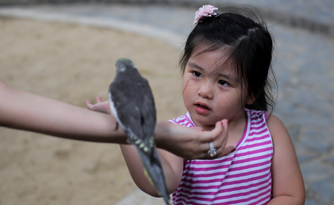 ä¸é¹¦é¹çåå¡å¨è¥¿è´¡